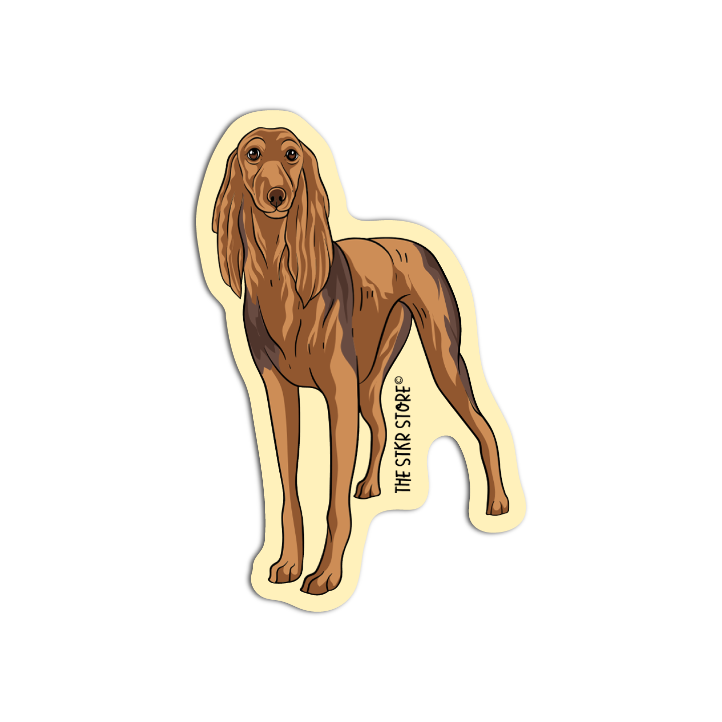 Saluki Dog Breed