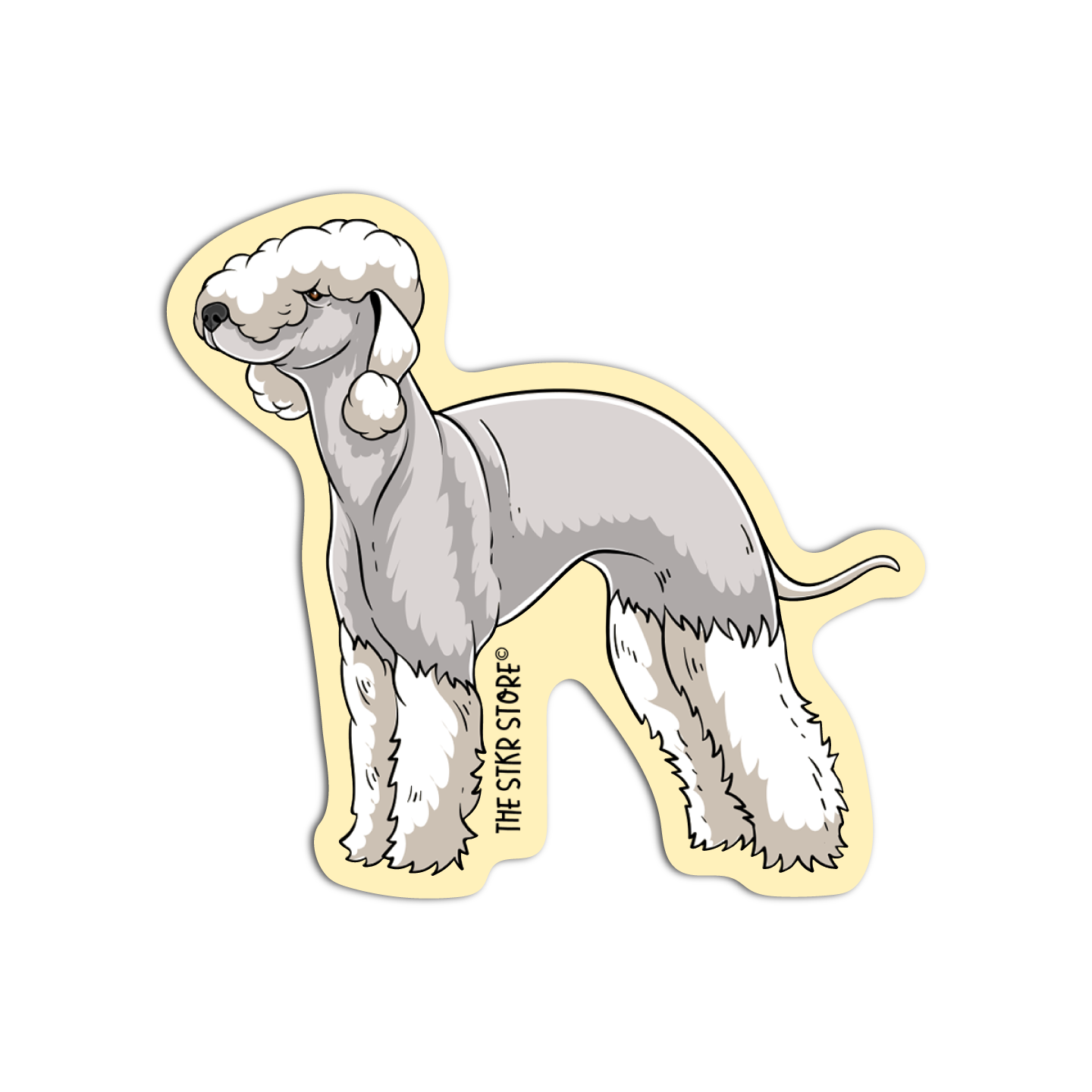 Bedlington Terrier Dog Breed