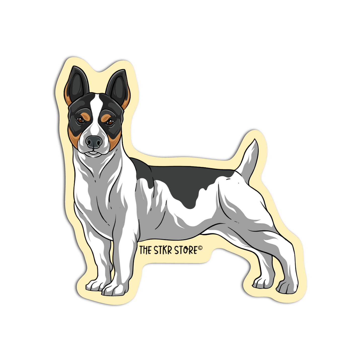 Rat Terrier Dog Breed