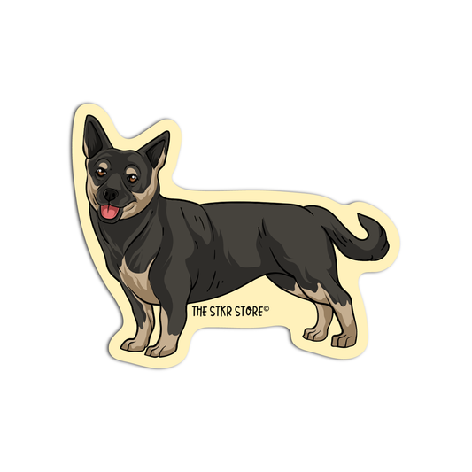 Lancashire Heeler Dog Breed