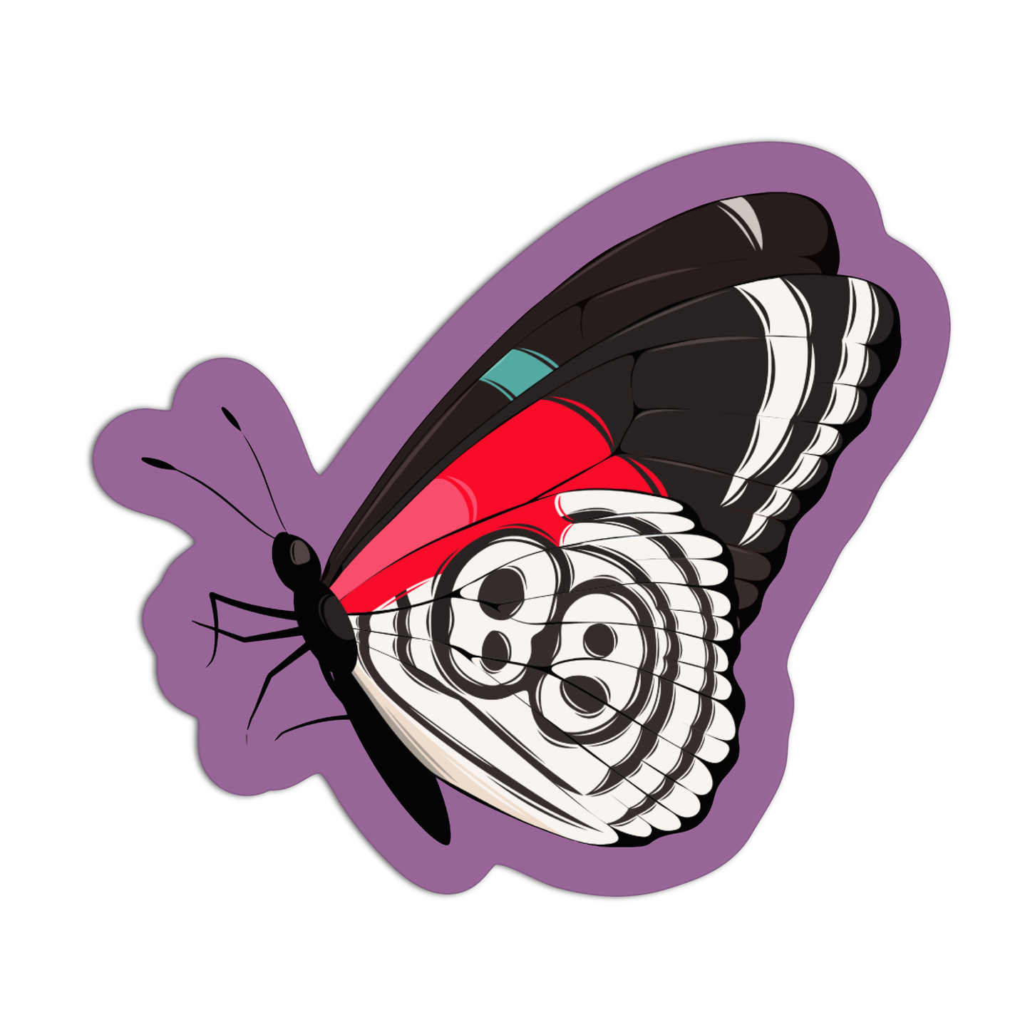 Anna's Eighty-Eight (Diaethria anna) butterfly Sticker