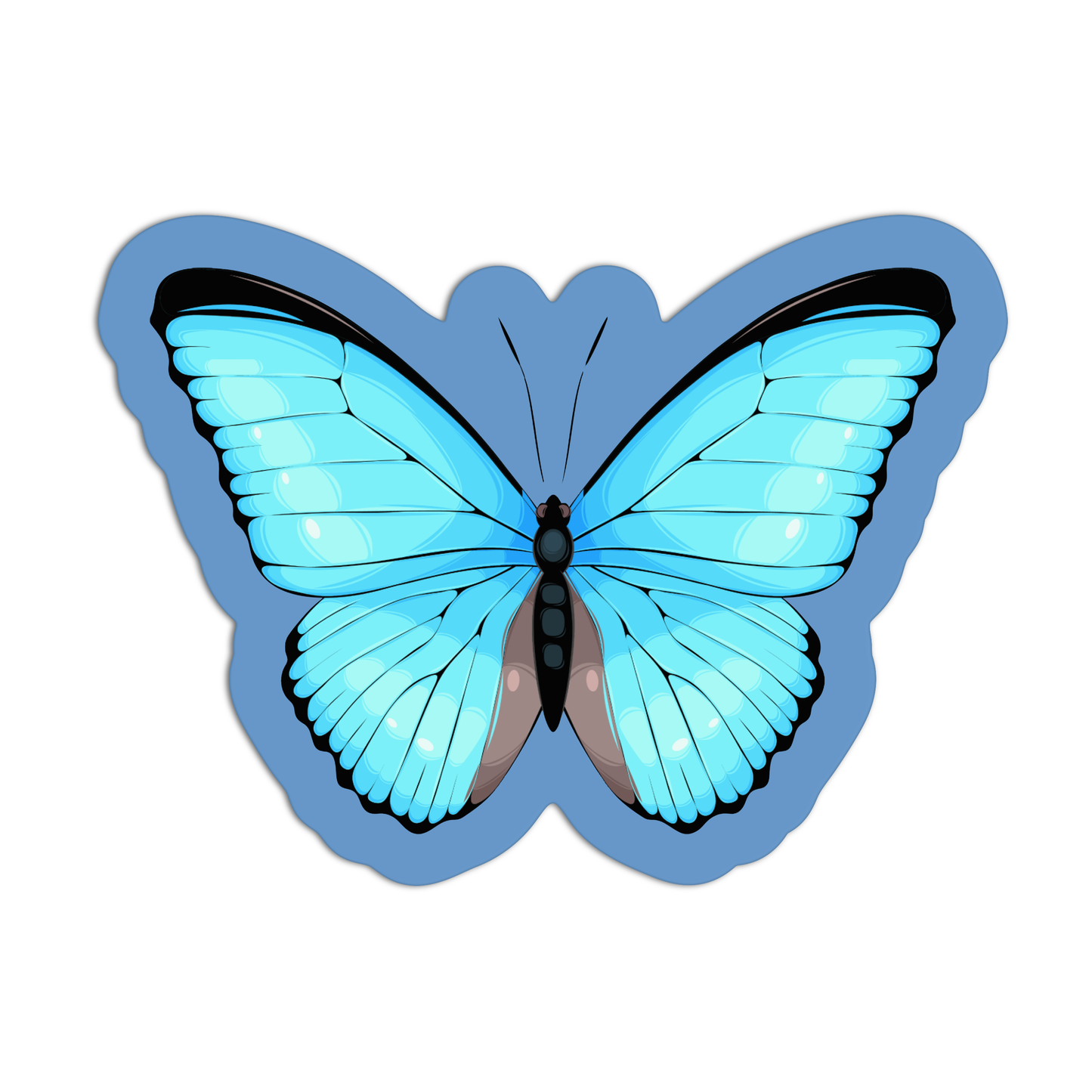 Blue Morpho butterfly Sticker