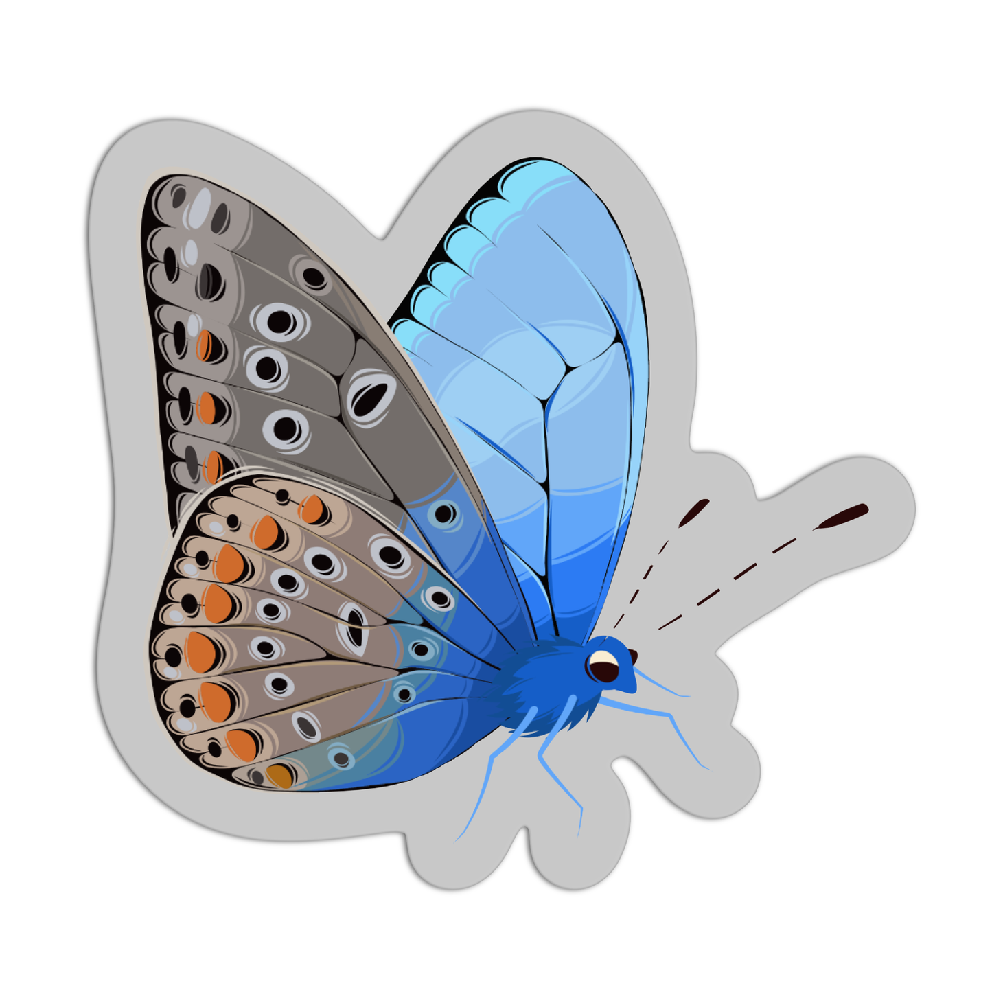 Butterfly Adonis Sticker