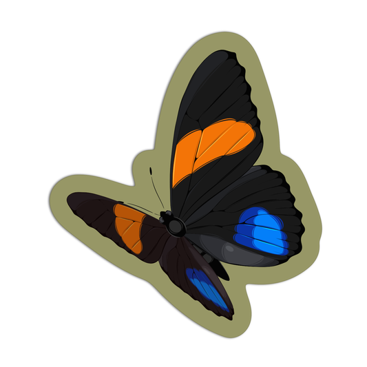 Callicore Butterfly Sticker