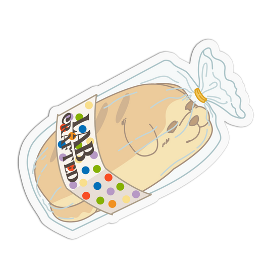Cartoon seal toy with a colorful label on a white background