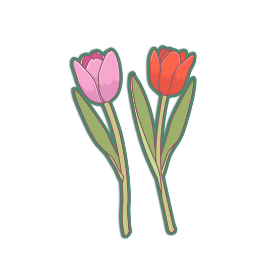 Two stylized tulips, one pink and one red, on a white background.