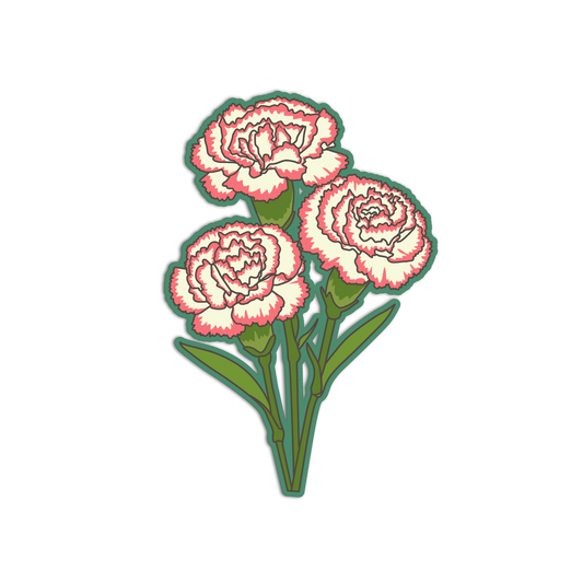 Pink Tipped Carnations - Flower Series Sticker - The Stkr Store