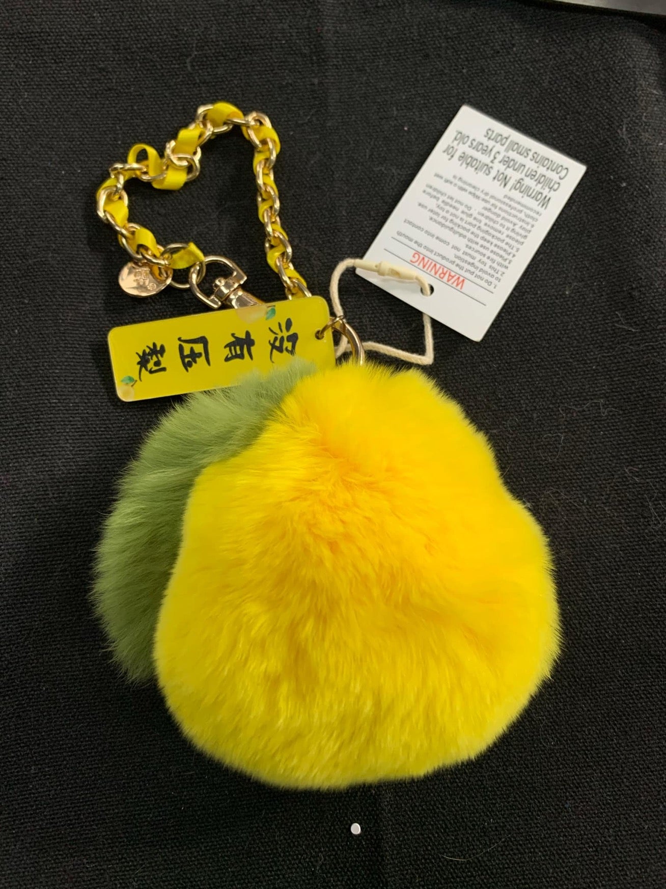 Snap Keychain