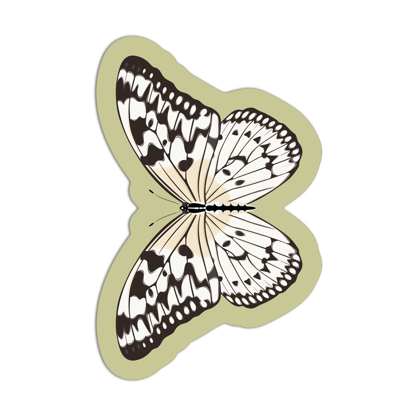 Paper Kite (Idea leuconoe) Sticker