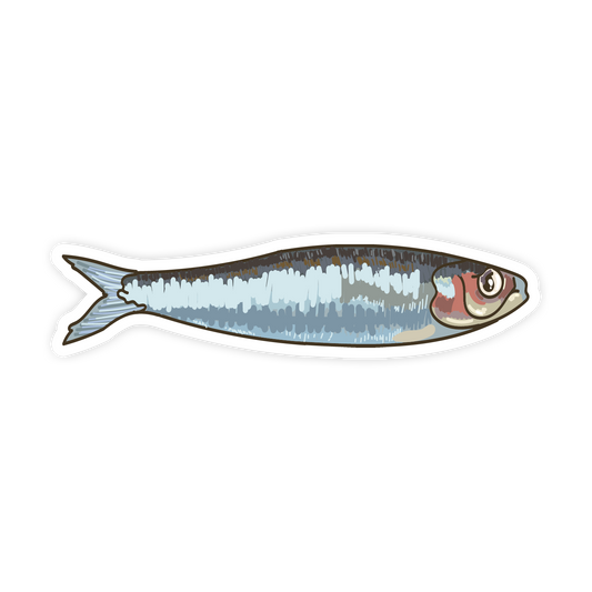 Illustration of a fish on a white background
