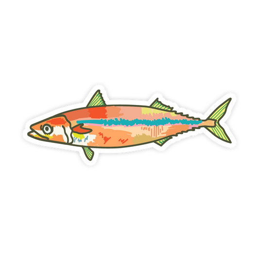 Colorful fish illustration on a white background