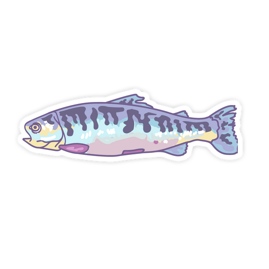 Sticker of a stylized fish with pastel colors on a white background