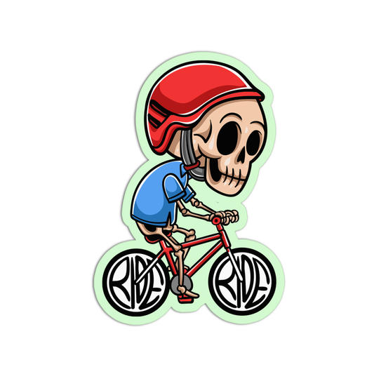 Large Skull Skeleton