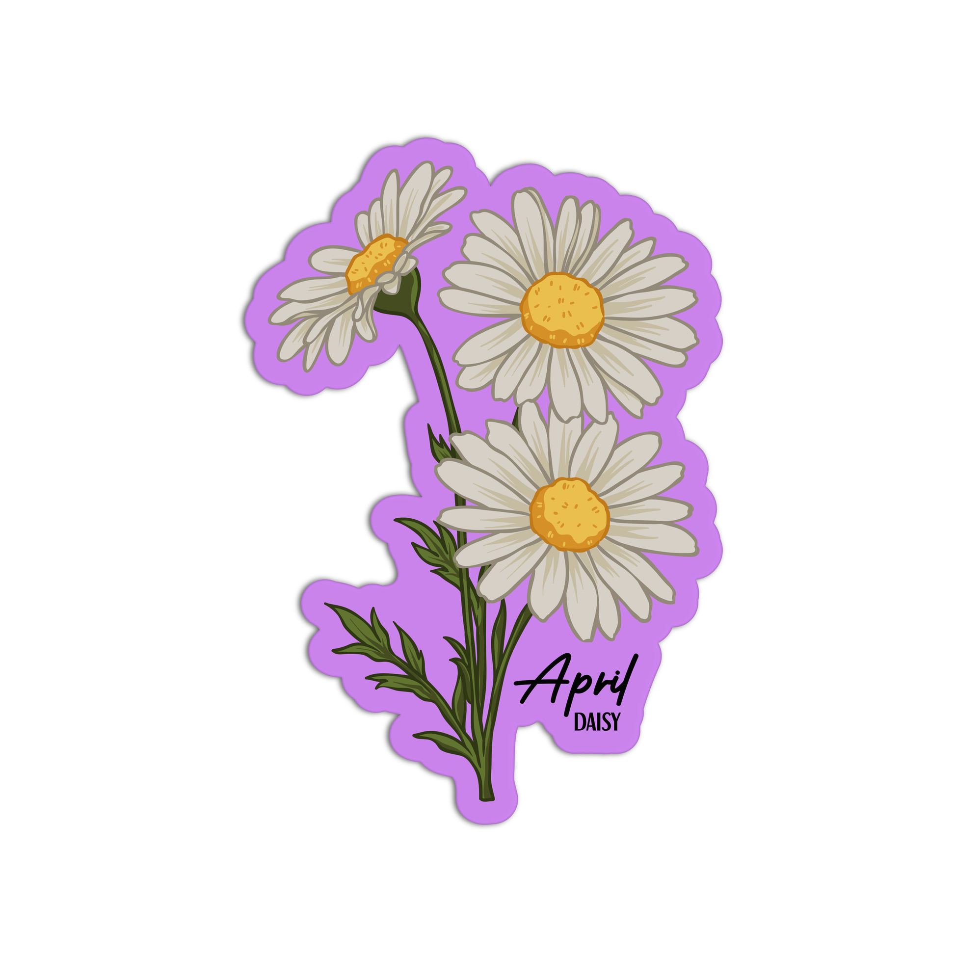 April Daisy Birthflower Sticker