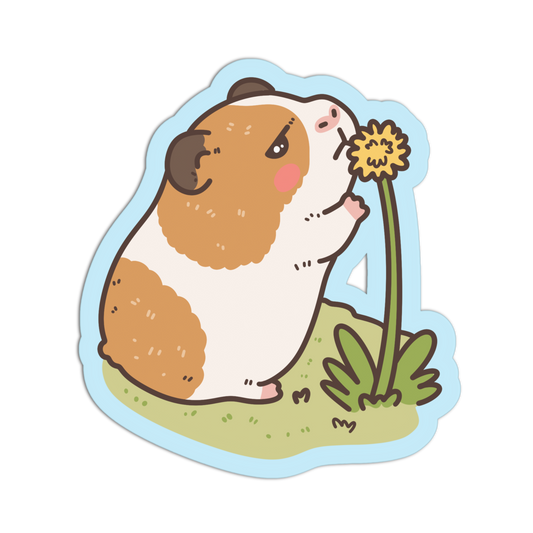 A cute cartoon sticker of a brown and white guinea pig sniffing a yellow flower, set on a light blue die-cut background with a white border.