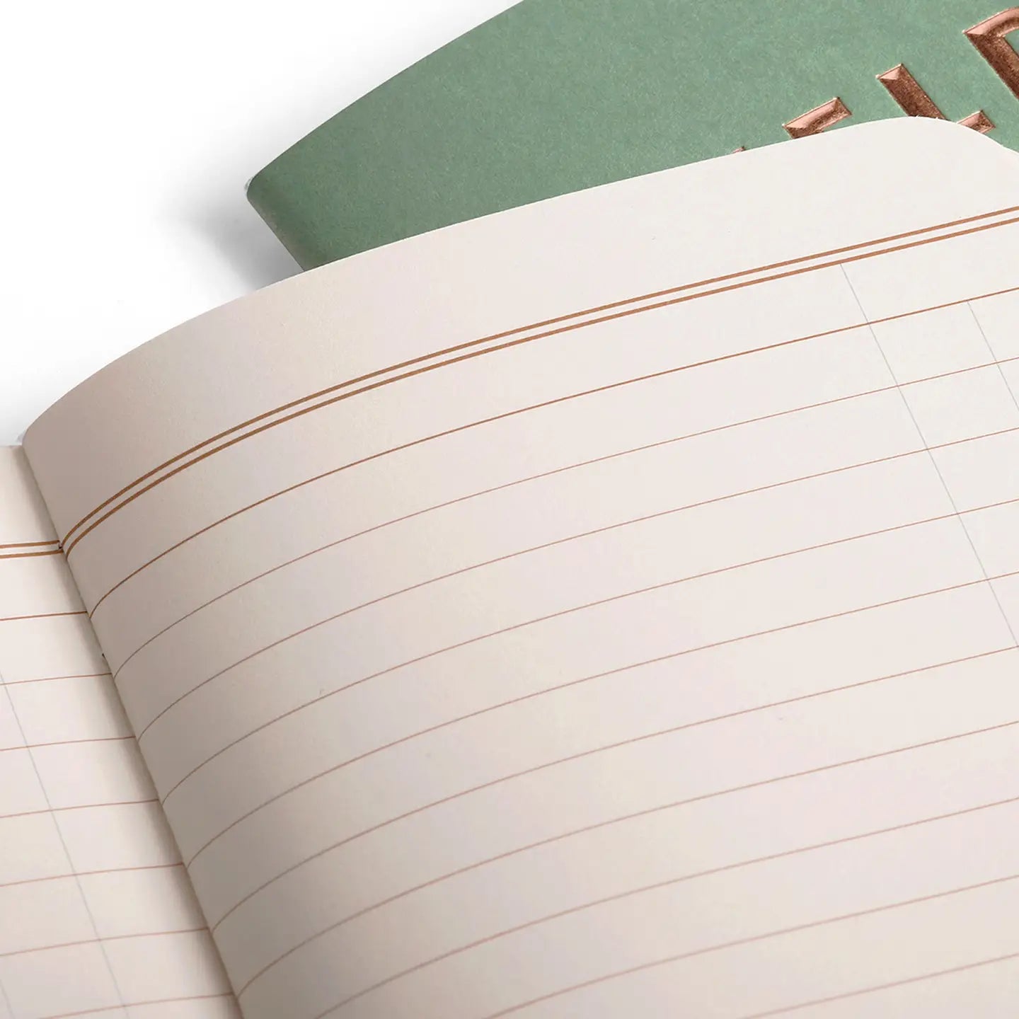 Close-up of a lined notebook with a green cover on a white background