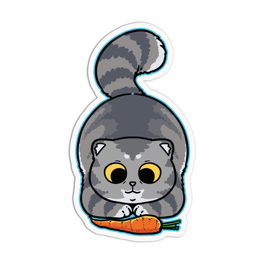 Eyes For The Prize Cats Stickers