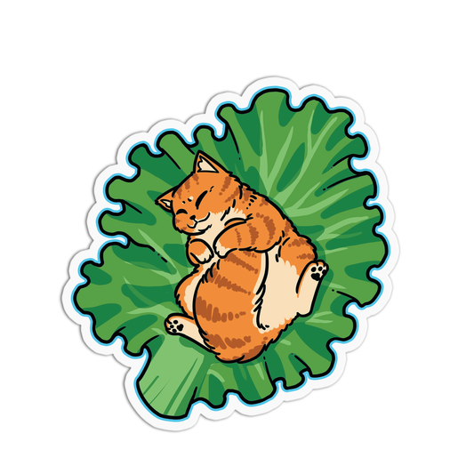 Cat On A Wrap Cats Stickers