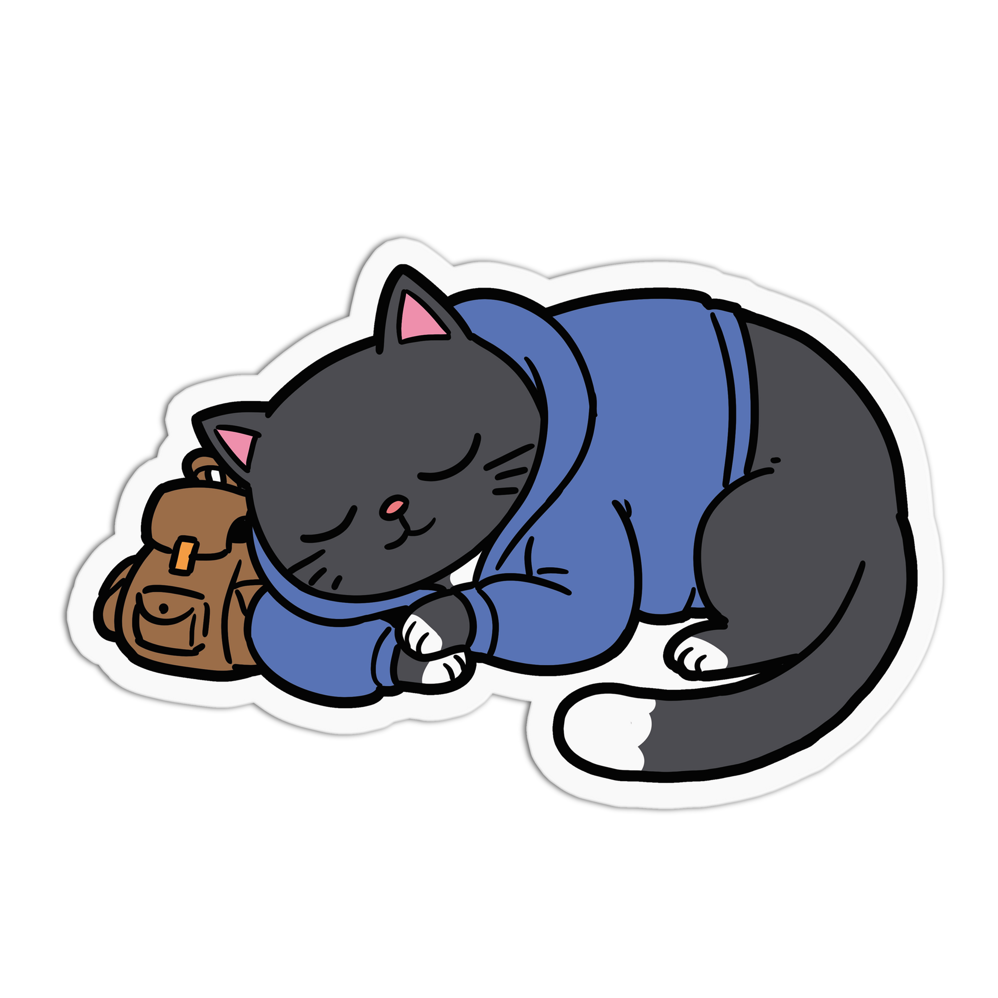 Cartoon cat in a blue sweater with a brown bag on a white background