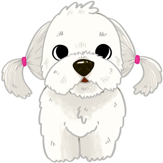 Maltese in Ponytails Sticker