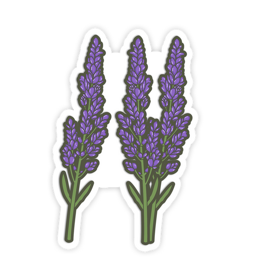 Three lavender flowers on a white background