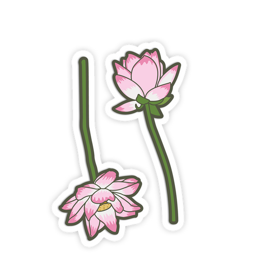 Two pink lotus flowers with green stems on a white background