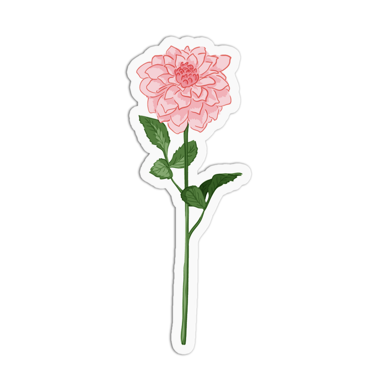 A sticker of a fully petaled pink dahlia flower on a tall green stem with leaves, set against a white background with a die-cut border.