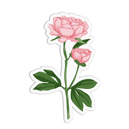 A sticker featuring two soft pink peony blooms—one fully open and one small bud—on a green leafy stem, set against a white background with a die-cut border.