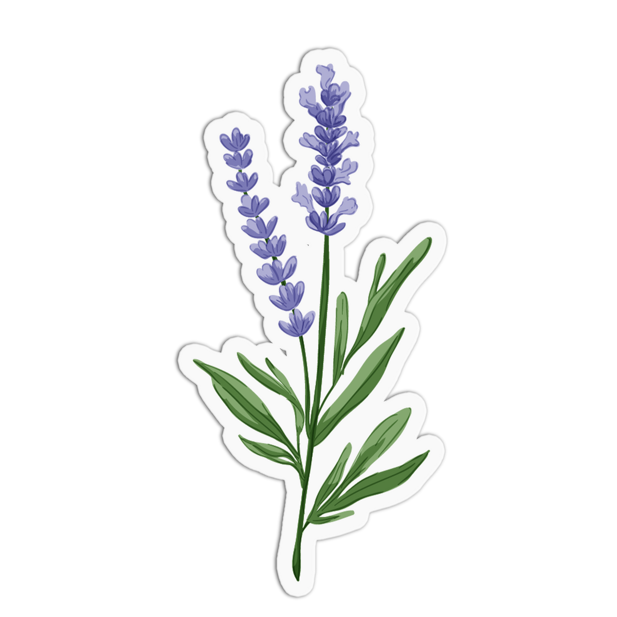 A sticker showing two stalks of vibrant purple lavender flowers with thin green stems and leaves, set against a white background with a die-cut border.