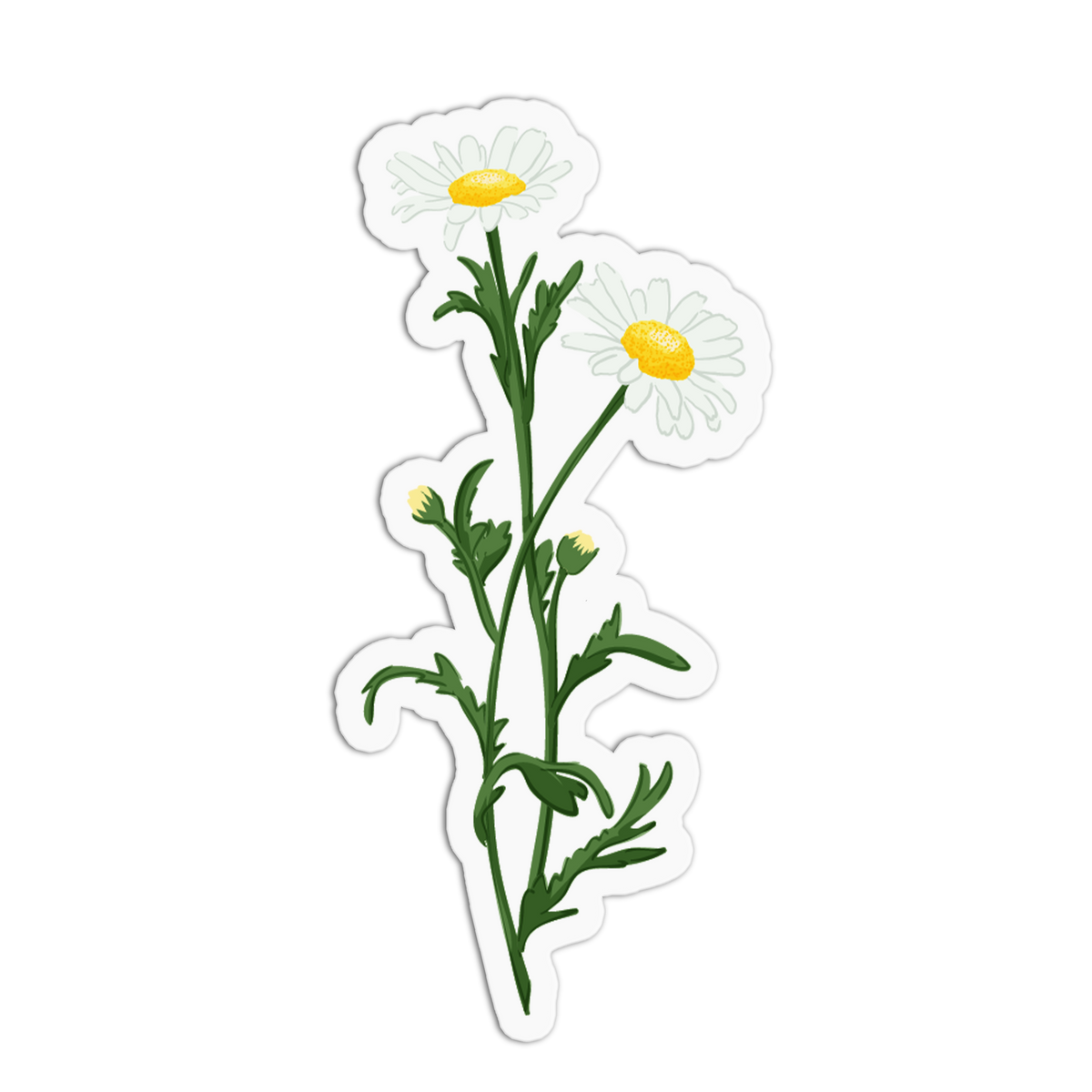 A sticker featuring two white daisy blossoms with bright yellow centers on branching green stems with foliage, set against a white background with a die-cut border.