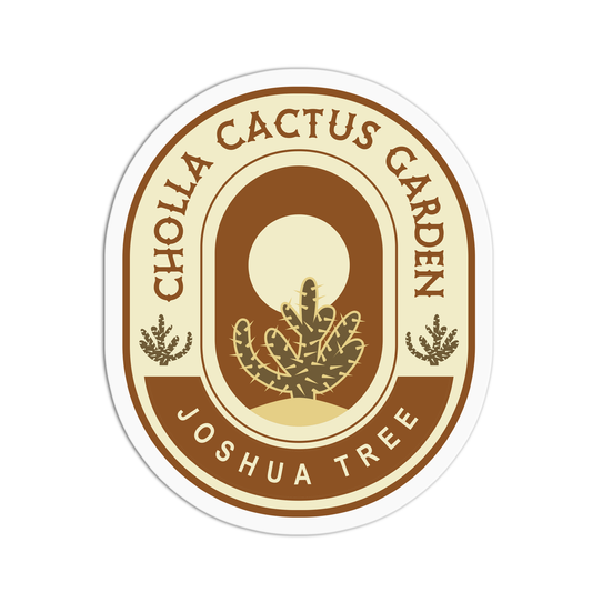 Cholla Cactus Garden Travel Series Joshua Tree