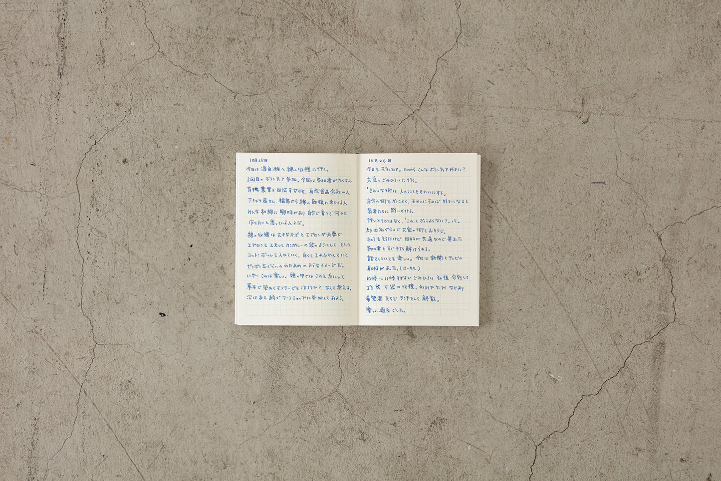 Midori MD Paper Notebook A6 Grid