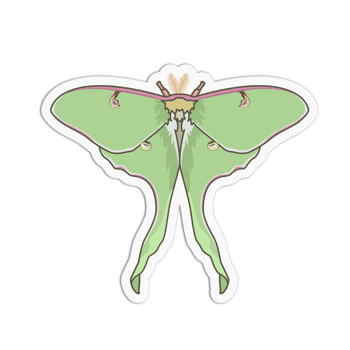 Luna Moth Series Stickers