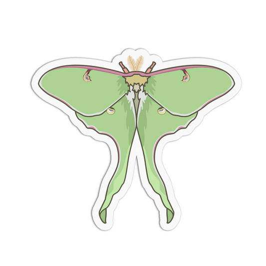 Luna Moth Series Stickers