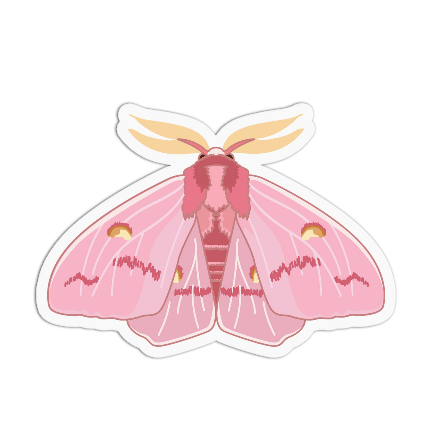 Pink Silk Moth Series Stickers (Copy) - The Stkr Store