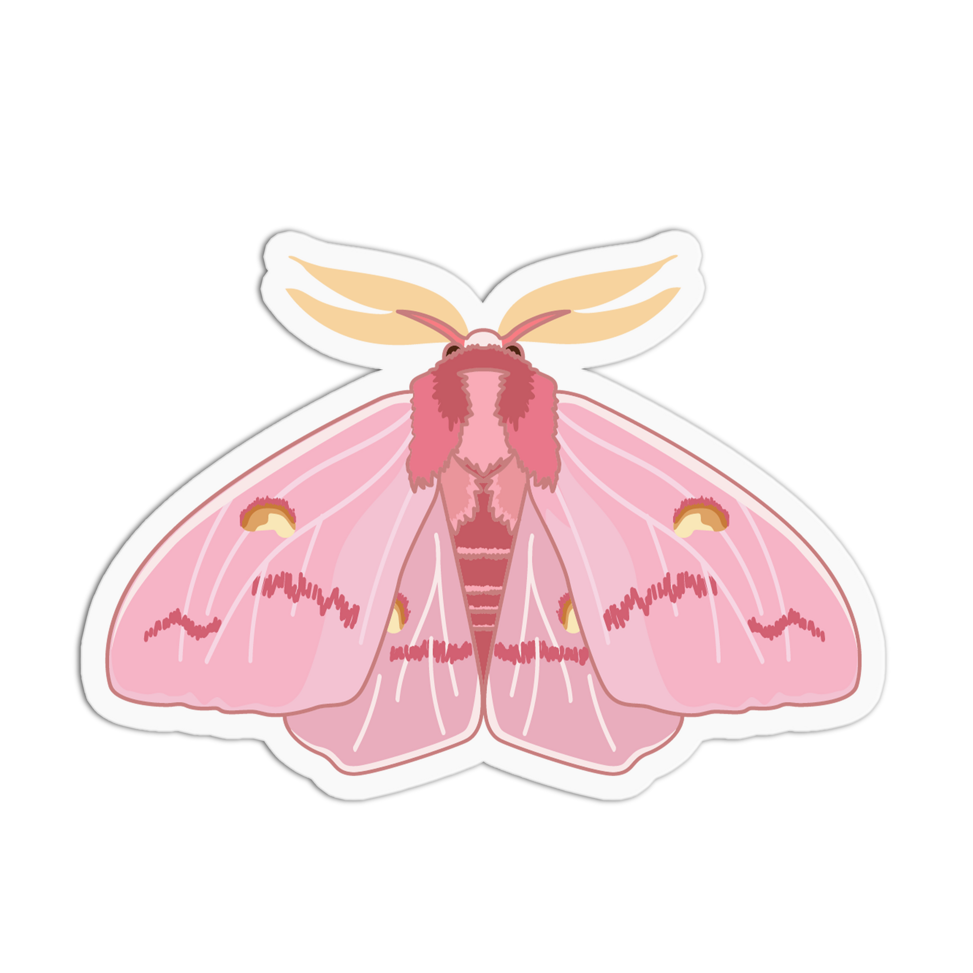Pink Silk Moth Series Stickers (Copy) - The Stkr Store