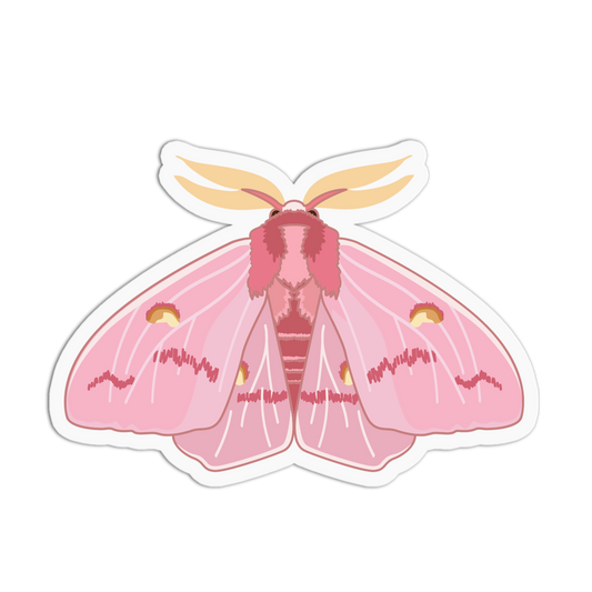 Pink Silk Moth Series Stickers (Copy) - The Stkr Store