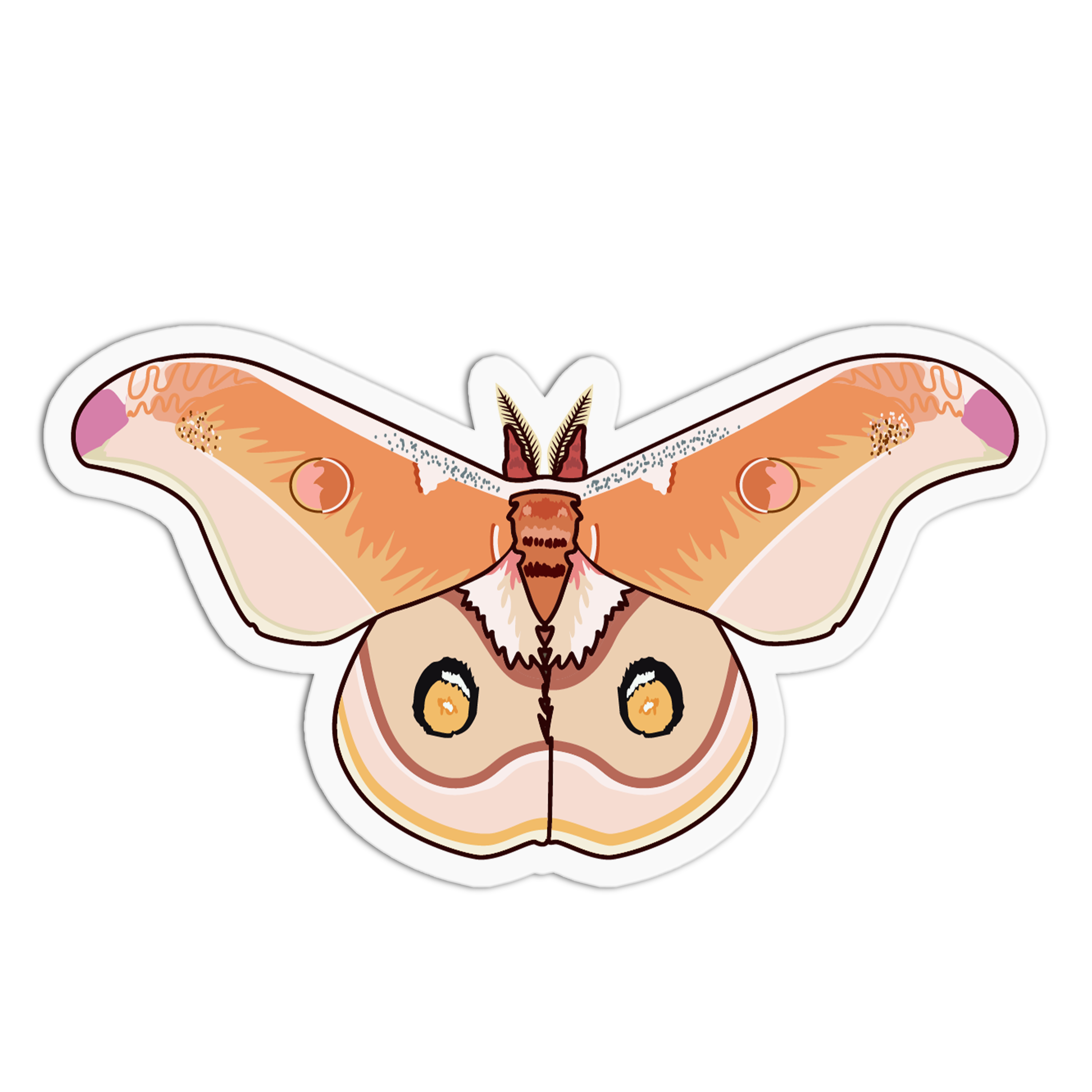 Polyphemus Moth Series Stickers – The Stkr Store