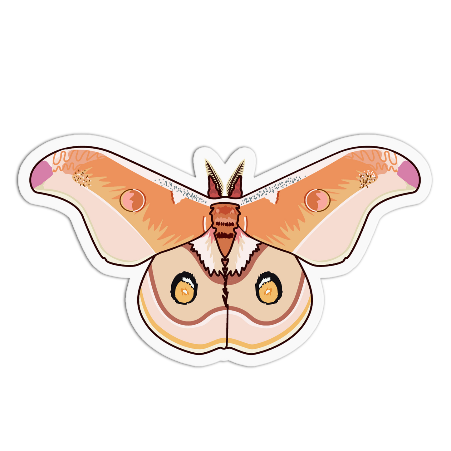 Polyphemus Moth Series Stickers