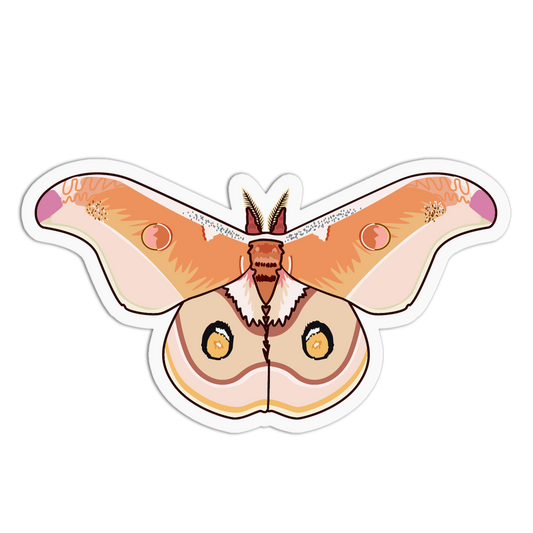 Polyphemus Moth Series Stickers