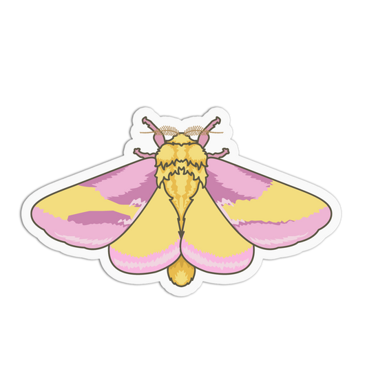 Rosy Maple Moth Series Stickers