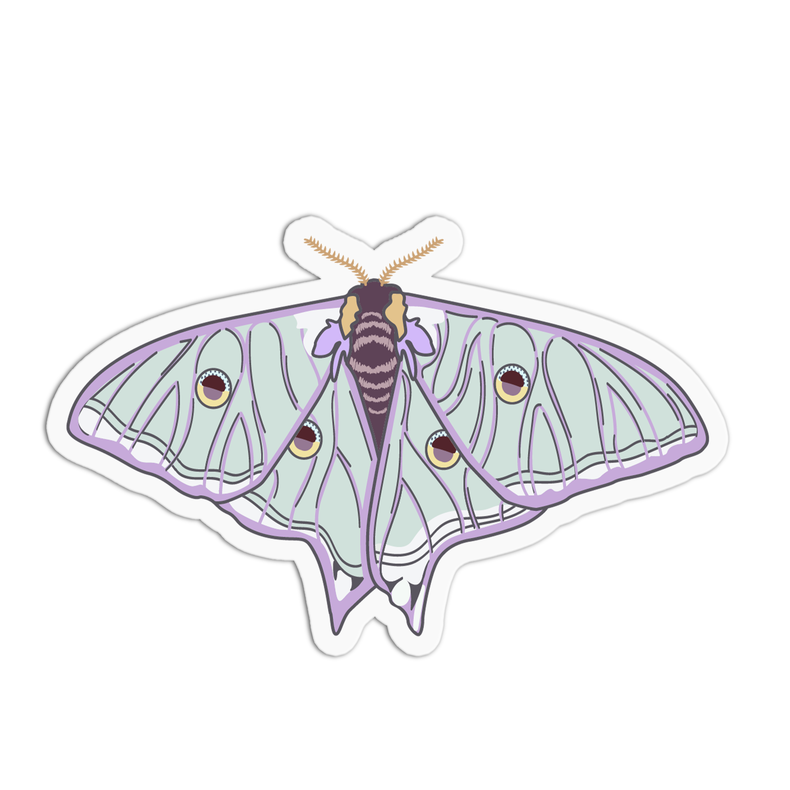 Spanish Moon Moth Series Stickers – The Stkr Store