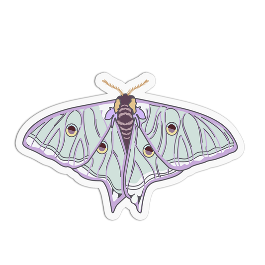 Spanish Moon Moth Series Stickers