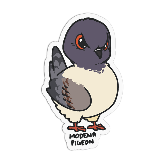 Charming Italian Modena Pigeon Sticker