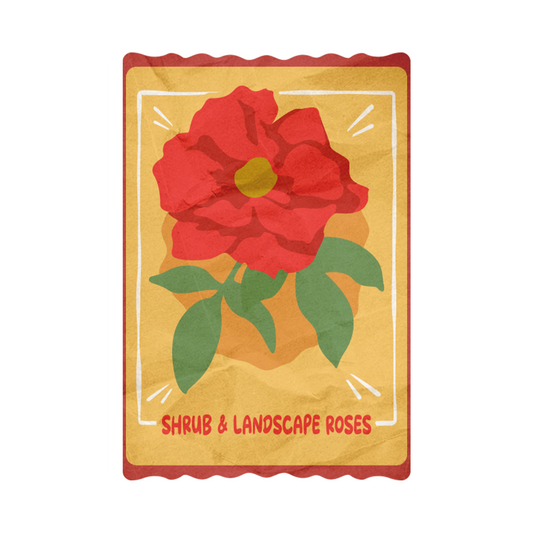 Shrub Landscape Rose Packet Sticker