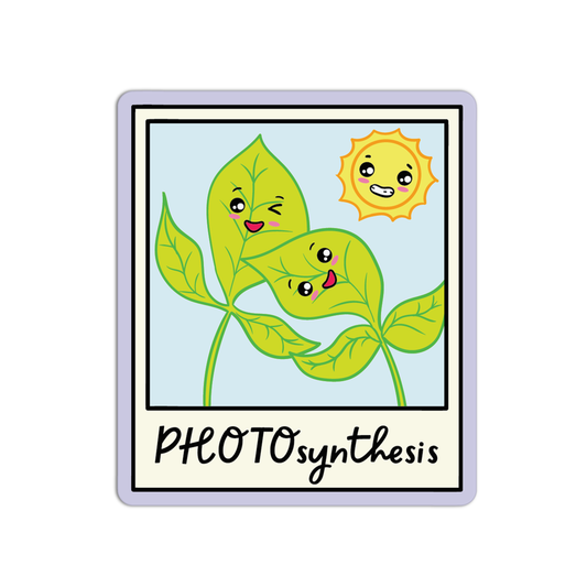 Photosynthesis Science Stickers