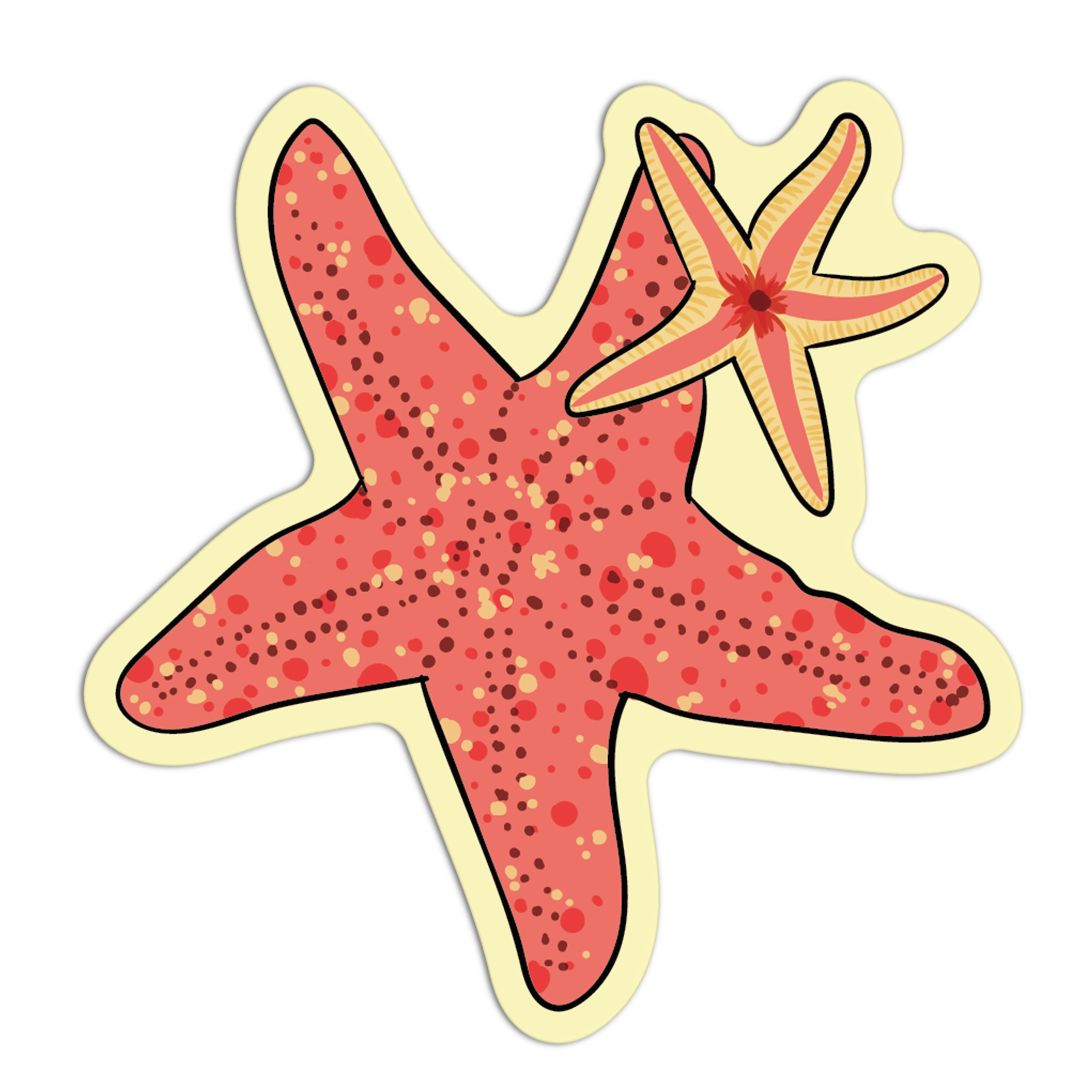Starfish - Sea Creatures Sticker Collection – The Stkr Store