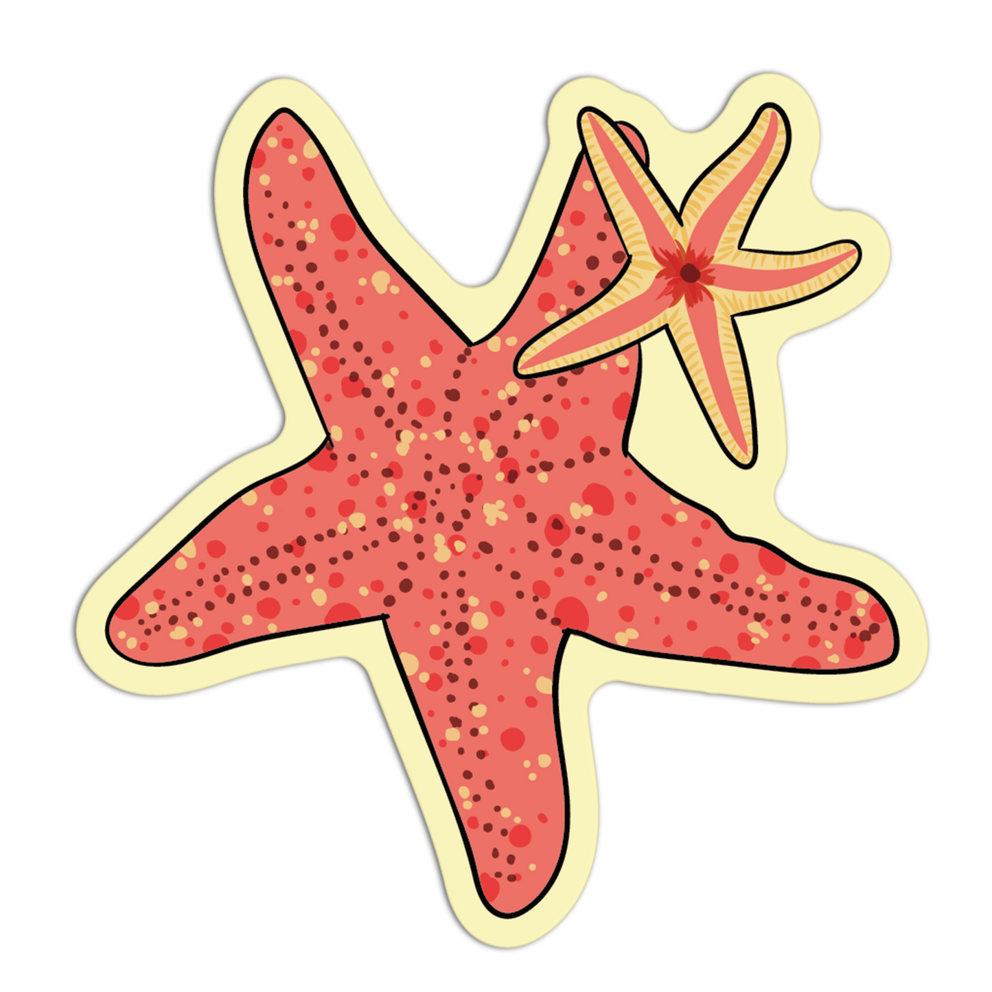 Starfish  - Sea Creatures Sticker Collection - The Stkr Store