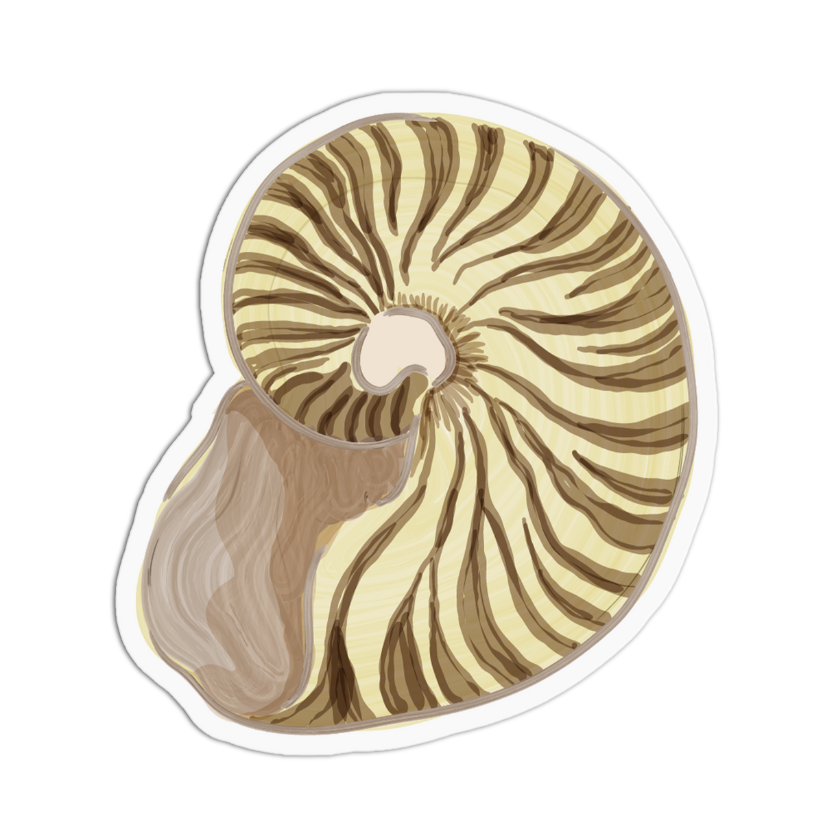 Striped Nautilus Sea Shells Sticker