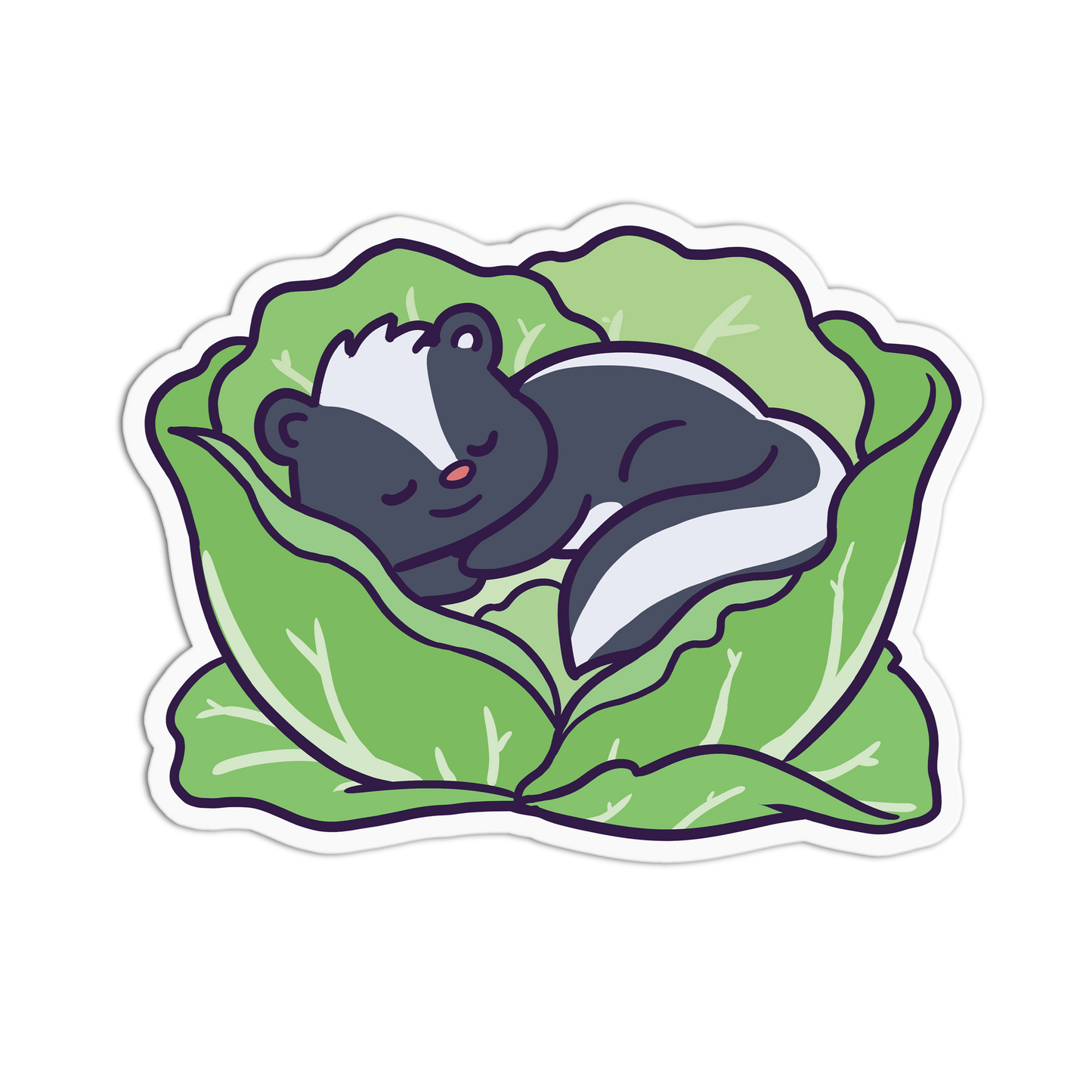 Sticker of a skunk in a cabbage on a white background